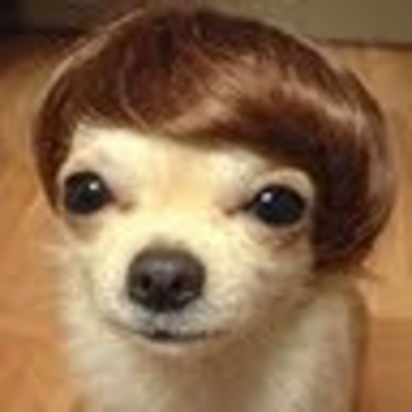 Meet your Posher, Caroline - Picture 1 of 1